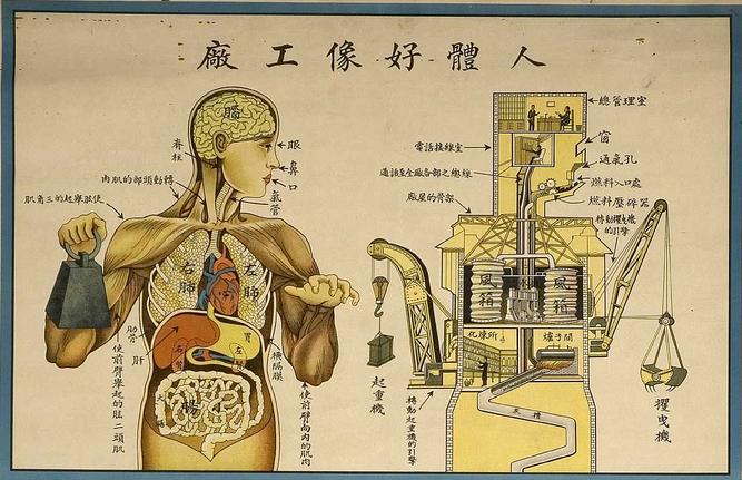 a chinese medical poster, depicting a human on the left and a mechanical version of the human on the right. for example, the human is holding up a weight with their arm, whereas the mechanical human has a crane for an arm.